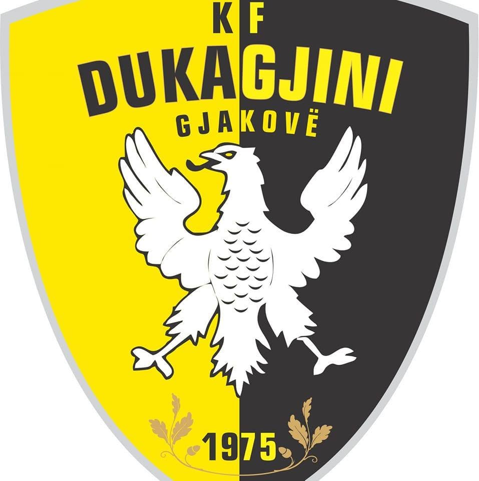 Logo Dukagjini